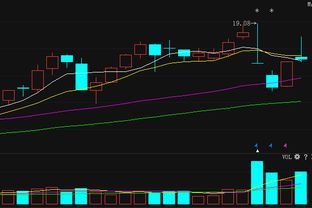 江南红箭最新动态揭秘 计算机软硬件开发新突破，99.9%投资者尚未察觉？