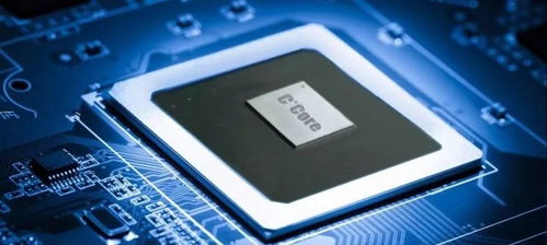 周乃翔专题调研高新区民营企业 勉励企业家深耕计算机软硬件开发，激发创新活力